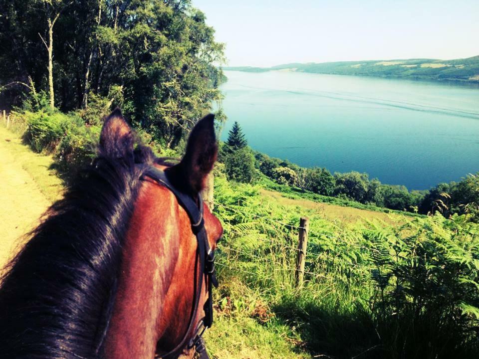 Loch Ness B And B インヴァネス エクステリア 写真